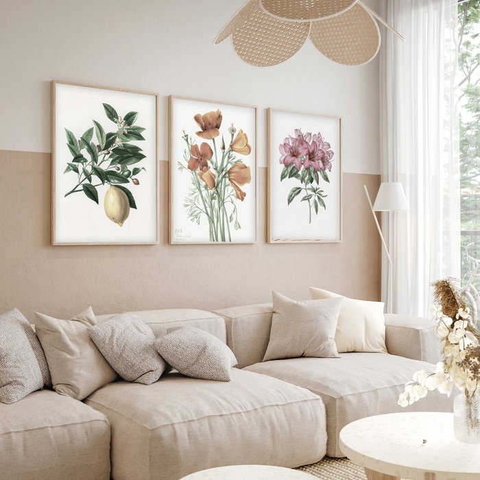 Wallity Huhu278 Cuadro Decorativo Enmarcado de 3 Piezas 50 x 35 cm
